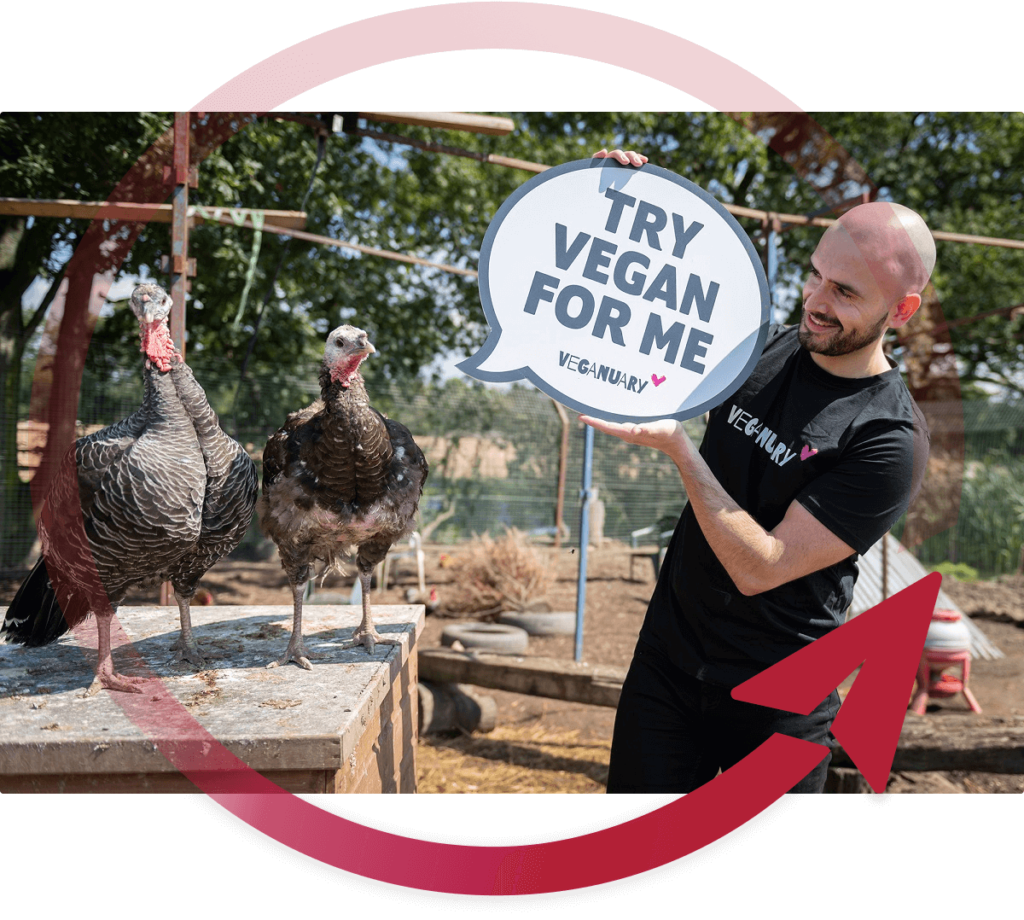 veganuary turkey foothold america