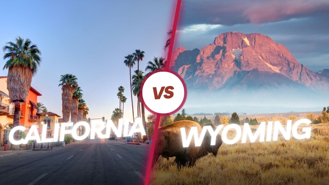 California vs Wyoming
