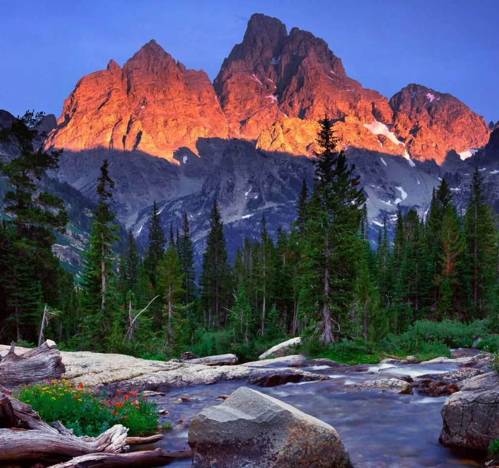 Costituire una società nel Wyoming