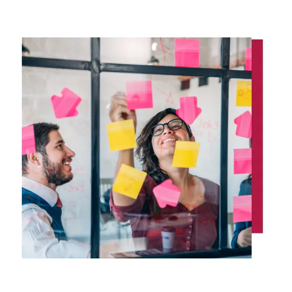 consulenza incorporata